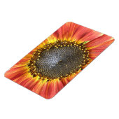 Rood- en Gele Zonnebloem Premium Magnet Magneet (Linkerzijde)