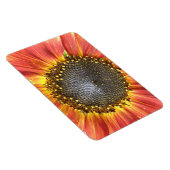 Rood- en Gele Zonnebloem Premium Magnet Magneet (Rechterzijde)