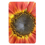 Rood- en Gele Zonnebloem Premium Magnet Magneet (Verticaal)
