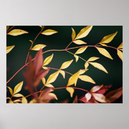 Rood- en Gold-afdrukken Poster