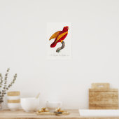 Rood-en-Goud Lory, Poster (Keuken)