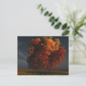Rood en goudBriefkaart Briefkaart (Staand voorkant)