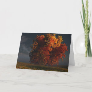 Rood en Gouden Wenskaart Kaart
