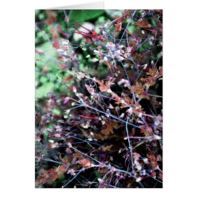 Rood en groen (Voorkant)