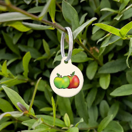 Rood en groen Cartoon Apple Fruits & Pet's Info Huisdierpenning