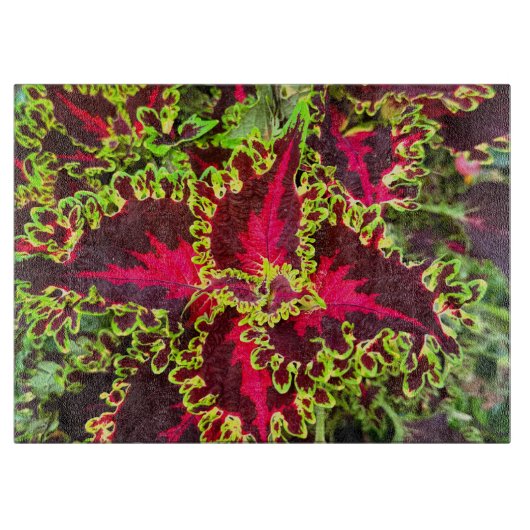 Rood en groen Coleus plant Snijplank (Voorkant)