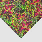 Rood en groen Coleus plant Tissuepapier (Detail)
