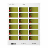 Rood en Groen Ornament Kerst Adresetiketten Etiket (Full Sheet)