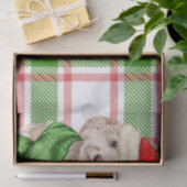 Rood en Groen Plaid Cockapo Kersthond Tissuepapier (Geschenk)