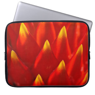 Rood en groen plant in close-up fotografie laptop sleeve