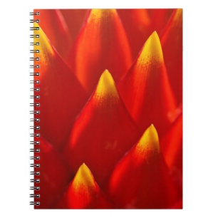 Rood en groen plant in close-up fotografie notitieboek