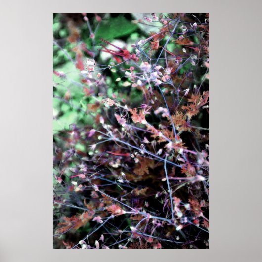 Rood en groen poster (Voorkant)