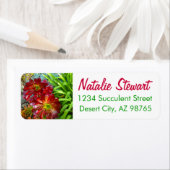 Rood en Groen Succulent van Amy Vangsgard Etiket (Insitu)