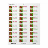 Rood en Groen Succulent van Amy Vangsgard Etiket (Full Sheet)