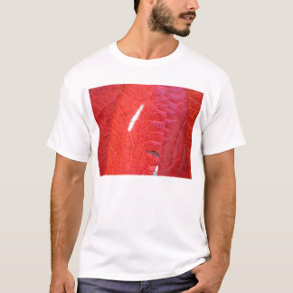 Rood en groen t-shirt