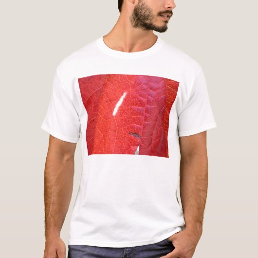 Rood en groen t-shirt (Voorkant)