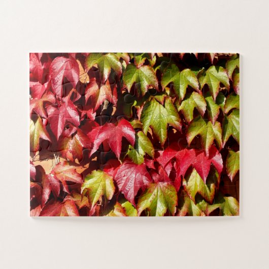 Rood- en groene bladeren legpuzzel (Horizontaal)