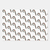 Rood- en groene snoepsuikerriet, gecoördineerd met inpakpapier vel (Voorkant 3)