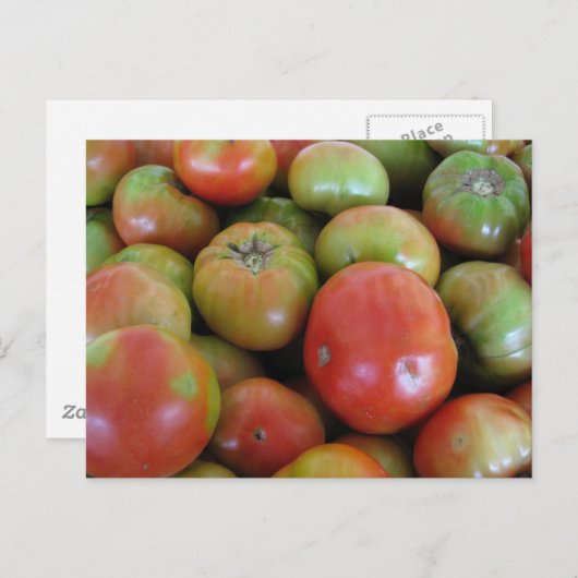 Rood- en groene tomaten briefkaart (Voorkant / Achterkant)
