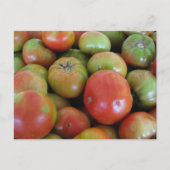 Rood- en groene tomaten briefkaart (Voorkant)