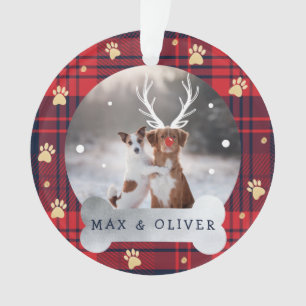 Rood- en marineblauw speldenpakket en gouden pootf ornament