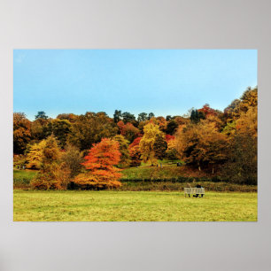Rood en oranje herfstlandschap poster