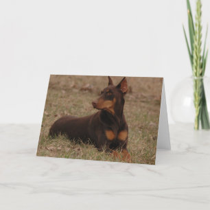 Rood en Roest Doberman Kaart