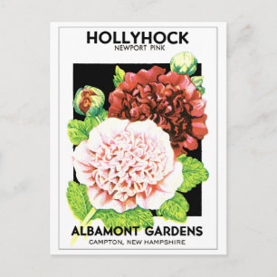  rood en roze gevlekt Hollyhock Seed Packet Briefkaart