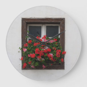 Rood en roze Pelargonium Grote Klok