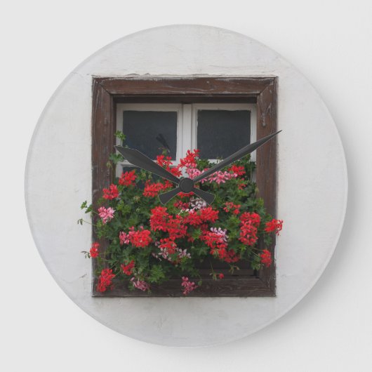 Rood en roze Pelargonium Grote Klok (Voorkant)