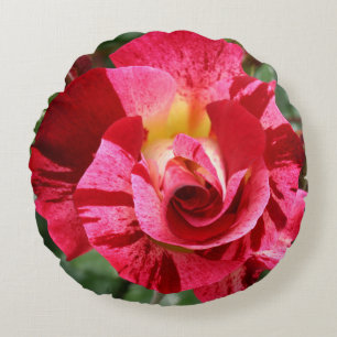 Rood en Roze Roze Rond Kussen
