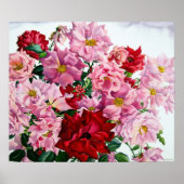 Rood en roze rozen 2008 poster (Voorkant)