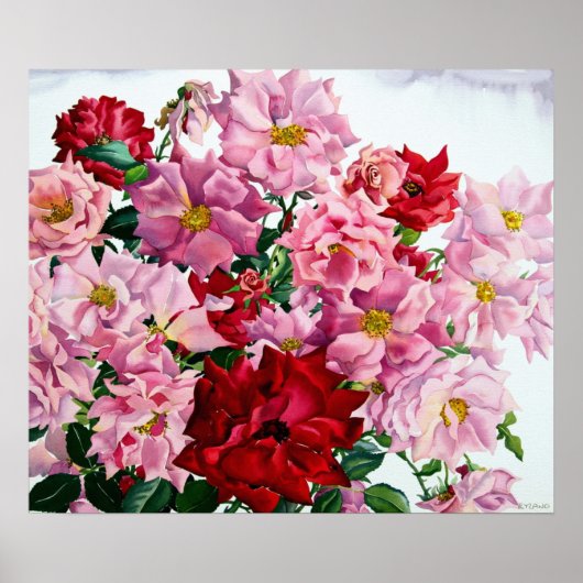 Rood en roze rozen 2008 poster (Voorkant)