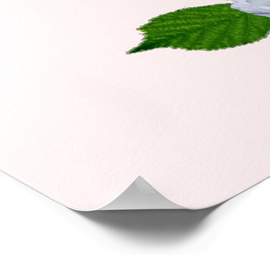 Rood- en roze rozenhuwelijk poster (Hoek)