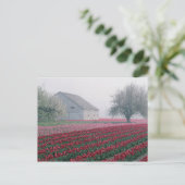 Rood en roze tulpen groeten de dag op een slechte  briefkaart (Staand voorkant)