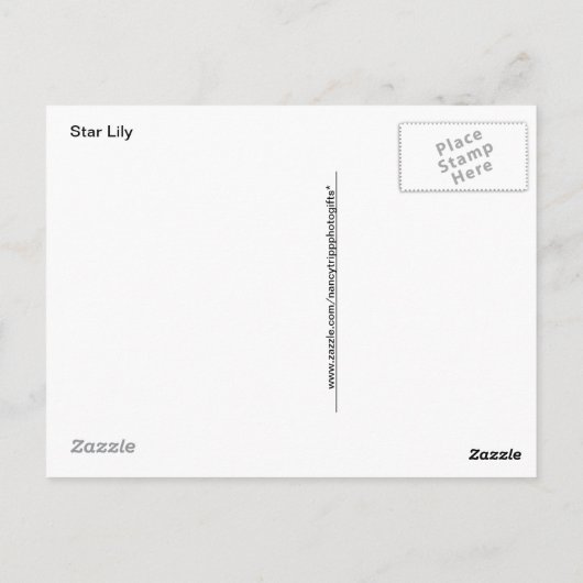 Rood- en White Star Lily op grijze schelpen Briefkaart (Achterkant)