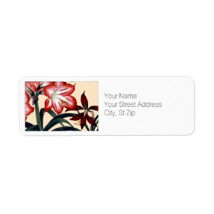 Rood en wit Amaryllis Flowers Botanische Kunst Etiket