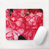 Rood en wit annencomputermousepad muismat (Met muis)