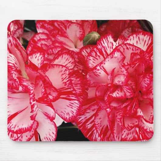 Rood en wit annencomputermousepad muismat (Voorkant)