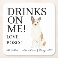 Rood en wit Australische Cattledog Heeler Wedding