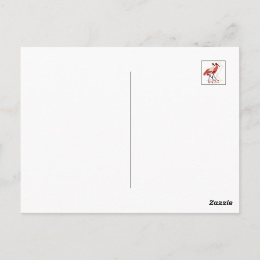 Rood en wit De Stork Vogels III Briefkaart (Achterkant)