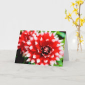 Rood en wit geschilderde tip Dahlia's Waterverf va Kaart (Gele Bloem)