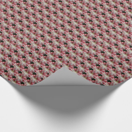 Rood en wit gestreept Amaryllis Floral Pattern Cadeaupapier (Hoek)