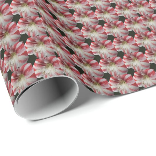 Rood en wit gestreept Amaryllis Floral Pattern Cadeaupapier (Rol Hoek)