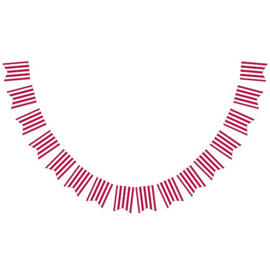 Rood en Wit Gestreepte Bunting Vlaggen Vlaggetjes (Alle)
