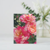 Rood en Wit Gestreepte Rozen Bewerkbaar Briefkaart (Staand voorkant)