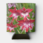 Rood en Wit Gladiolas Zomer Botanisch Blikjeskoeler (Voorkant)