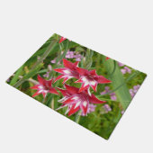 Rood en Wit Gladiolas Zomer Botanisch Deurmat (Schuin)