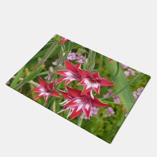 Rood en Wit Gladiolas Zomer Botanisch Deurmat (Schuin)