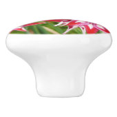 Rood en Wit Gladiolas Zomer Botanisch Keramische Knop (Zijkant)